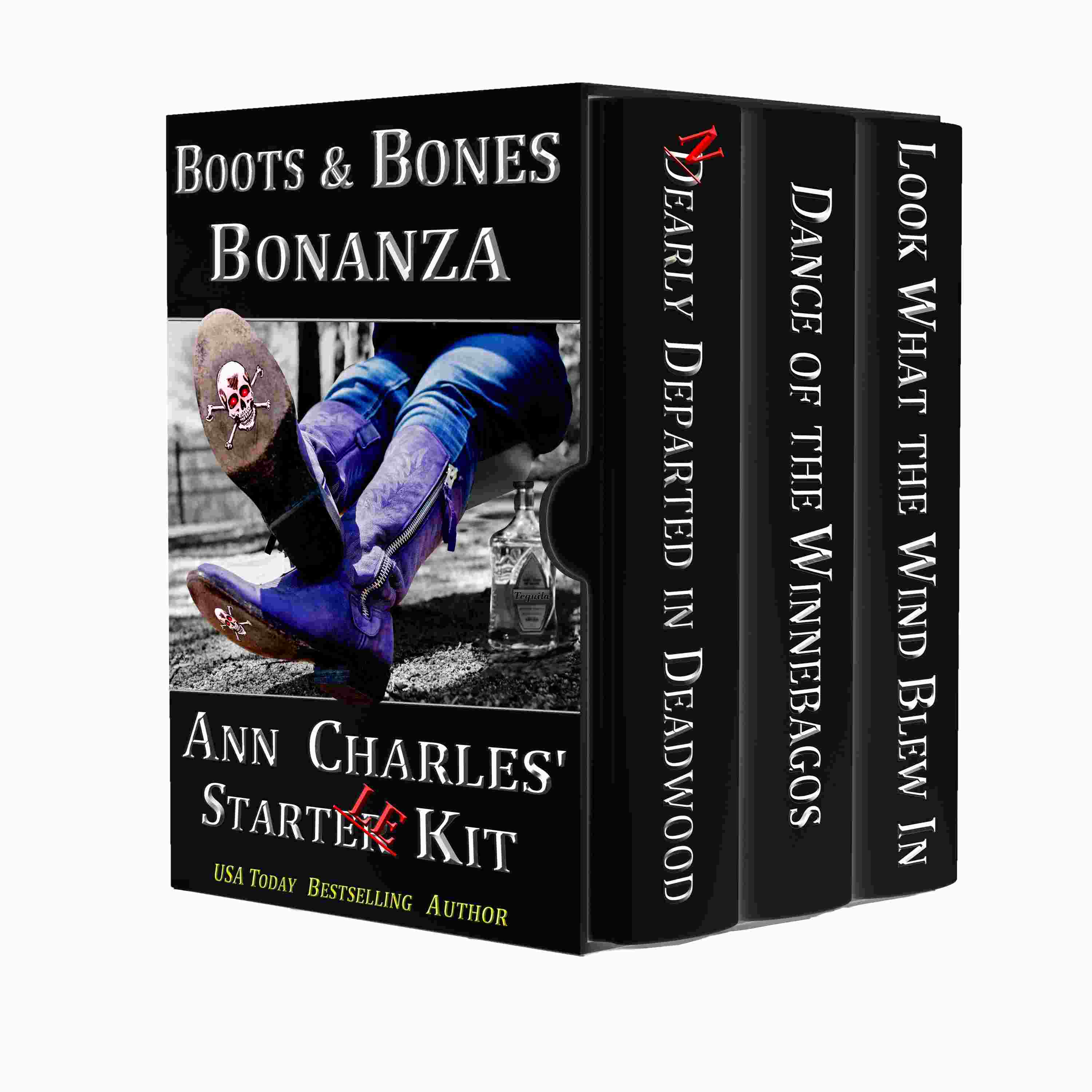 Ann Charles Other Books